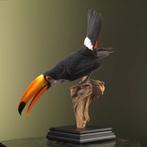 Reuzentoekan Replica Taxidermie Opgezette Dieren By Max, Opgezet dier, Ophalen of Verzenden