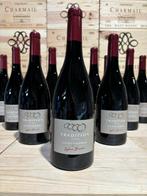 2023 Domaine Sylvain Bruneau cuvée Tradition -