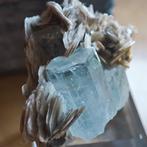 173,4 ct TOP aquamarine exemplaire Qualité AAA+++ avec