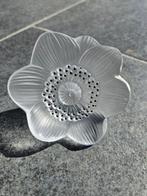 Lalique - Sculpture, Fleur anémone Lalique - 9 cm - Cristal