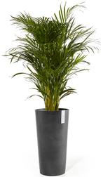 NIEUW - ECOPOTS Amsterdam High antraciet 76 cm, Nieuw, Verzenden