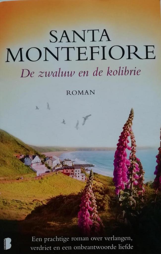 De zwaluw en de kolibrie 9789022565827 Santa Montefiore, Boeken, Romans, Gelezen, Verzenden