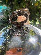 Schotel - Metaal - plat koken