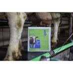 Uierdoek uddero clean 50 st., herbruikbaar 34 x 37 cm -