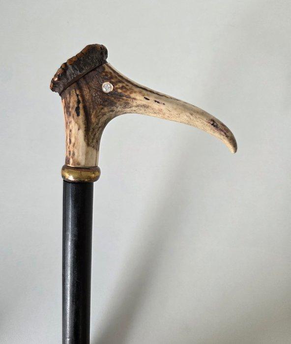 Exclusieve Wandelstok - Hertshoorn, Hertengewei, Rond 1900, Antiek en Kunst, Curiosa en Brocante