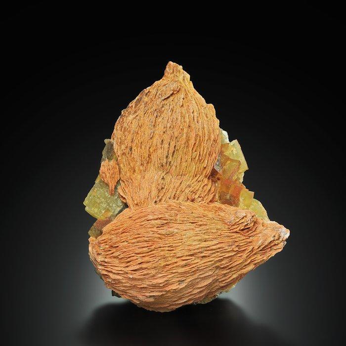 Geweldig! Kastformaat oranje kubieke fluoriet met baryt op, Verzamelen, Mineralen en Fossielen