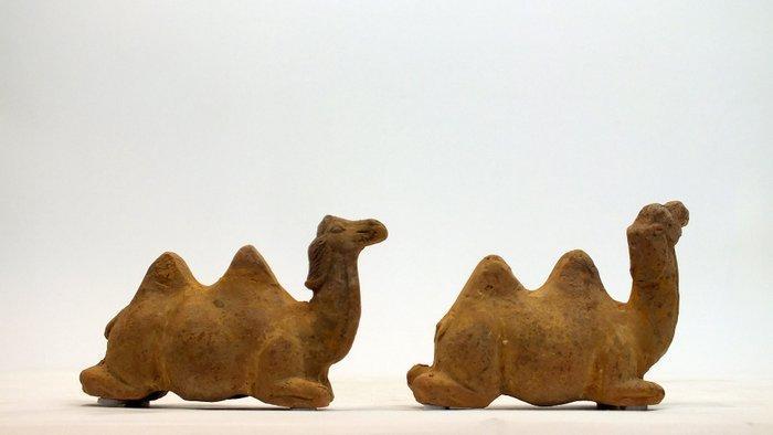 Oud Chinees, Tang-dynastie Terracotta Zeldzaam paar rustende, Verzamelen, Mineralen en Fossielen