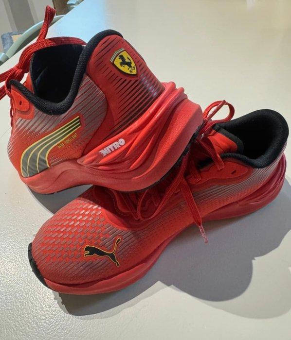 Ferrari - Formule 1 - 2024 - Vêtements déquipe, Verzamelen, Automerken, Motoren en Formule 1