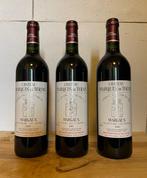 2000 Château Marquis de Terme - Margaux 4ème Grand Cru, Verzamelen, Wijnen, Nieuw