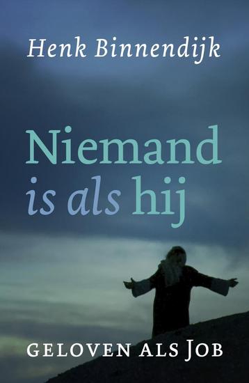Niemand is als hij (9789043537148, Henk Binnendijk) beschikbaar voor biedingen