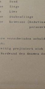 Joseph Beuys (1921-1986) - Stück 17