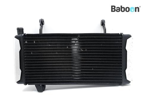 Radiateur Suzuki SV 1000 S / N 2003-2007 (SV1000N SV1000S, Motoren, Onderdelen | Suzuki, Gebruikt, Verzenden