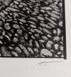 Joan Fontcuberta (1955) - Mont de Vénus