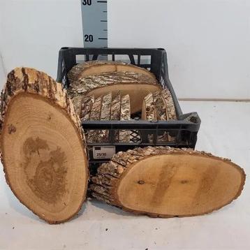 Boomstamschijf Houten Schijf ovaal Eik ca. 25-30 cm Per Stuk beschikbaar voor biedingen