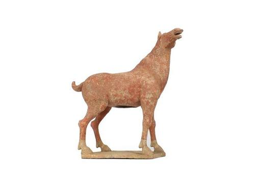 Oud Chinees, Tang-dynastie Terracotta Zeer zeldzaam grote, Verzamelen, Mineralen en Fossielen