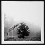 Frank Machalowski - tierwald#173