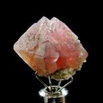 Roze fluoriet - Mont-Blanc, Alpen, Frankrijk - Hoogte: 2 cm