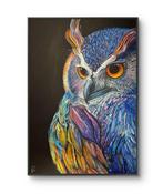 Luca Domiro - Quite Wisdom (Owl) - Medium painting, Antiek en Kunst