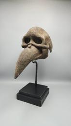 prachtige schedel van een grafaltaar - ik - Nigeria (Zonder, Antiek en Kunst