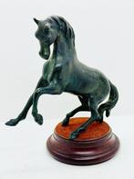 Figuur - Caballo - 2 kg - Gepatineerd brons, Antiek en Kunst