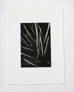 Anna Khavro - Rite of spring Rewrites - Archival pigment