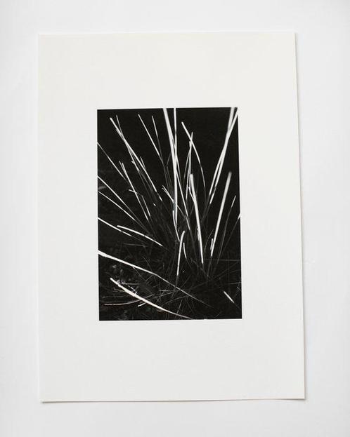 Anna Khavro - Rite of spring Rewrites - Archival pigment, Antiek en Kunst, Kunst | Schilderijen | Modern