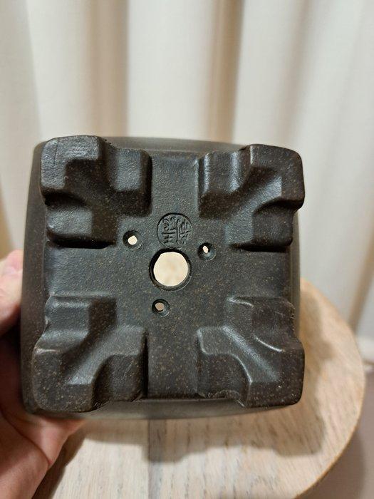 Bonsai schaal - 13x13x7cm - ongeglazuurd - Hoogte (boom): 0, Antiek en Kunst, Curiosa en Brocante