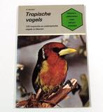 Tropische vogels 9789003945501, Boeken, Dieren en Huisdieren, Gelezen, Bechtel, Verzenden