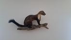 Marder Taxidermie volledige montage - Steinmarder - 20 cm -