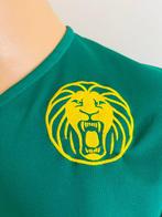 Cameroun - Équipes nationales de football - 2010 - Maillot, Nieuw