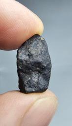 Meteoriet: El Menia L5, waargenomen val in 2023. Super vers