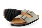 Scholl Slippers in maat 36 Beige | 5% korting, Kleding | Dames, Schoenen, Slippers, Scholl, Verzenden, Beige