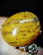 Geen reserveringsprijs Prachtige zeldzame natuurlijke, Verzamelen