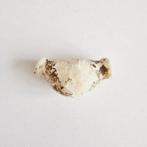Chinees-Siberisch Witte Chalcedoon Gebogen Hanger Kraal