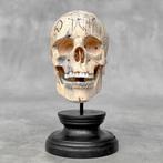 Snijwerk, NO RESERVE PRICE - Stunning Wooden Human Skull