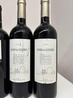 2004 (2x) Bodegas Bilbaínas, Vicuana, 2004 Gloria de Ostatu,, Nieuw