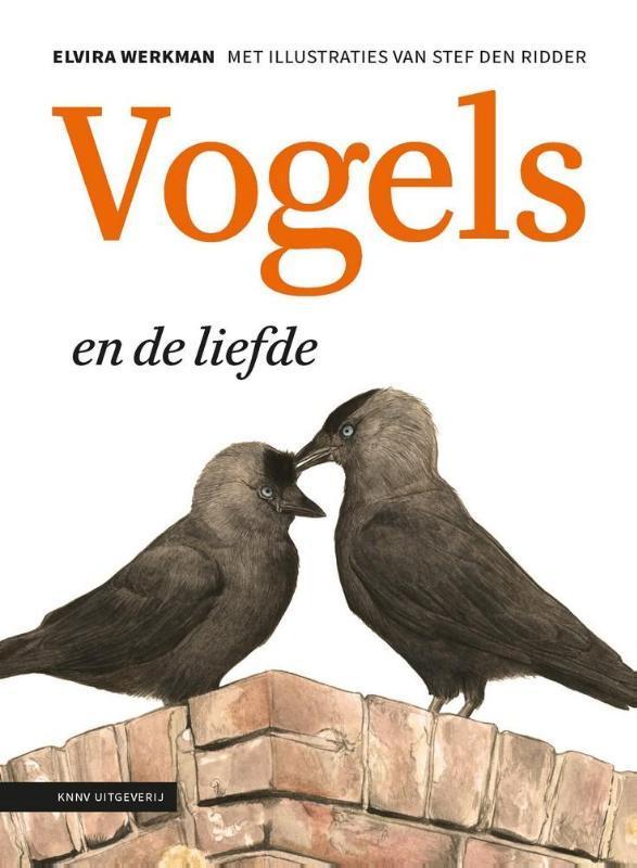 Vogels en de liefde 9789050116077 Elvira Werkman, Boeken, Hobby en Vrije tijd, Zo goed als nieuw, Verzenden