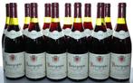 1993 Domaine Alain Hudelot-Noellat, Bourgogne Pinot Noir -