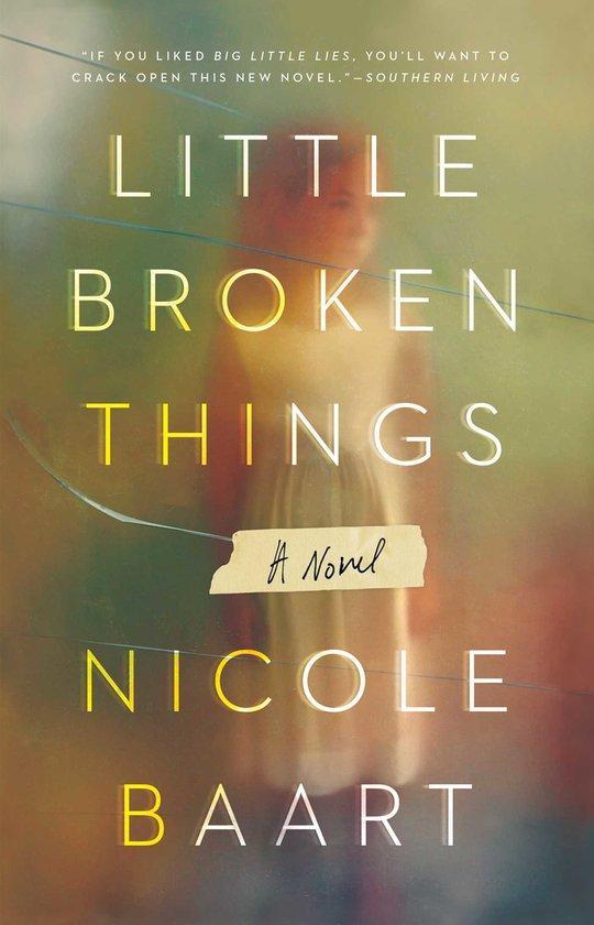 Little Broken Things 9781501133602 Nicole Baart, Boeken, Taal | Engels, Zo goed als nieuw, Verzenden