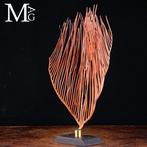 Prachtige rode Gorgonia op een houten en messing basis