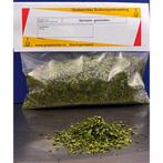 Spinazie - Globetrotter, Watersport en Boten, Hengelsport | Algemeen, Verzenden, Nieuw