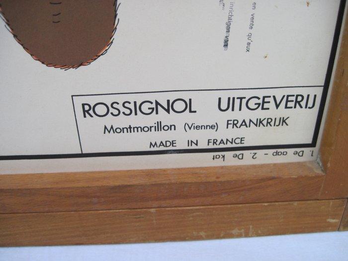 Rossignol France - Schoolkaart - Karton, Antiek en Kunst, Curiosa en Brocante