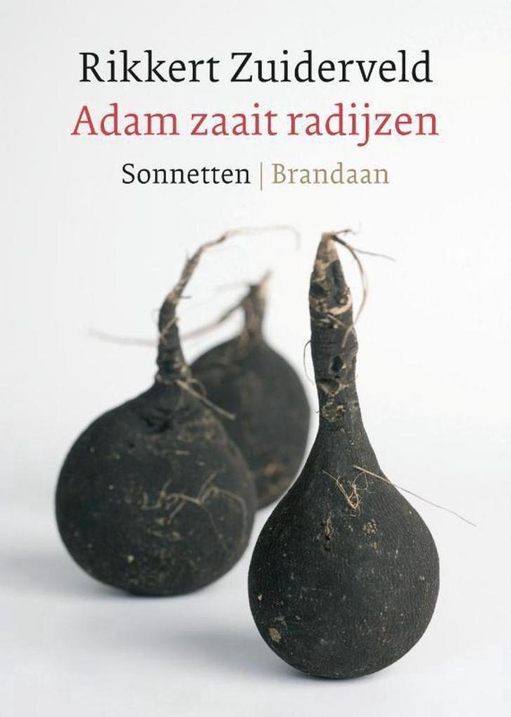 Adam zaait radijzen 9789460050107 Rikkert Zuiderveld, Boeken, Gedichten en Poëzie, Zo goed als nieuw, Verzenden