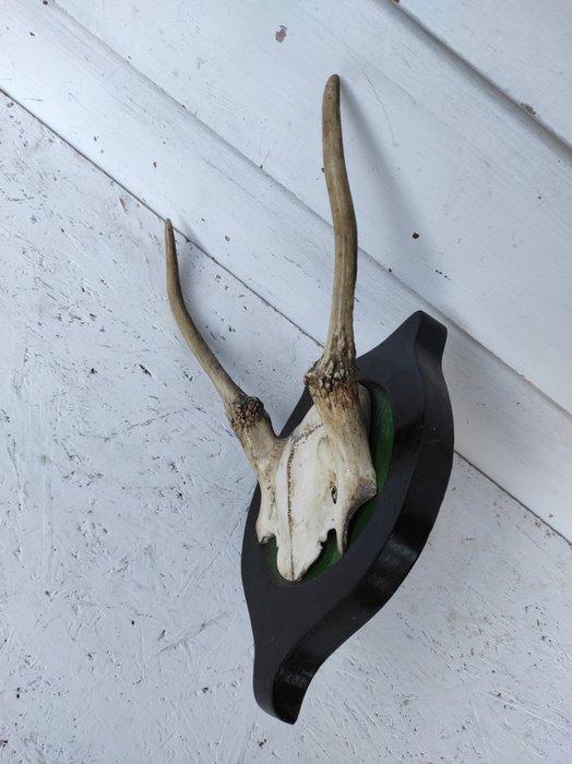 Jachttrofee, Antiek en Kunst, Curiosa en Brocante