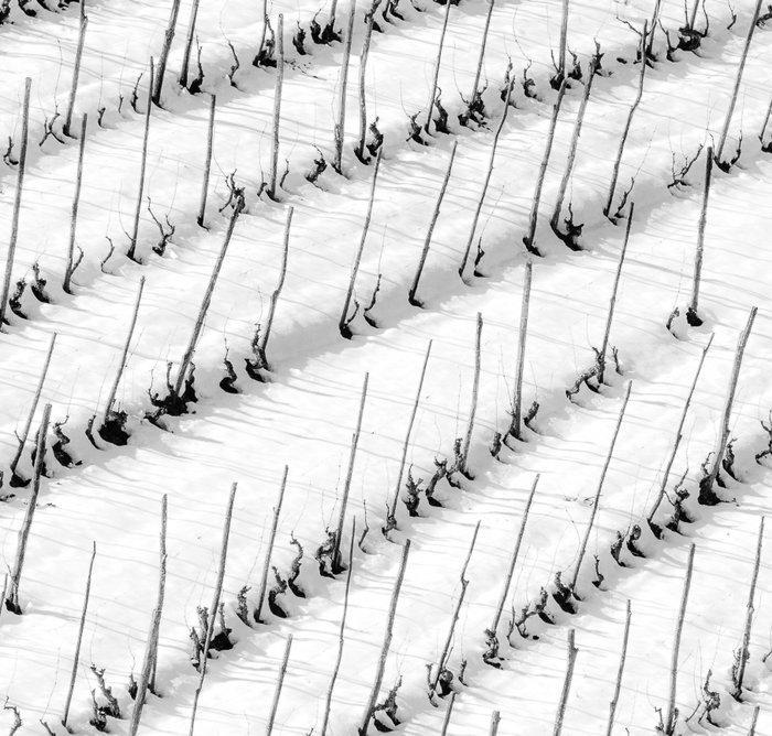 Franco Turcati - Langhe, Piemonte (321), Antiquités & Art, Art | Objets design