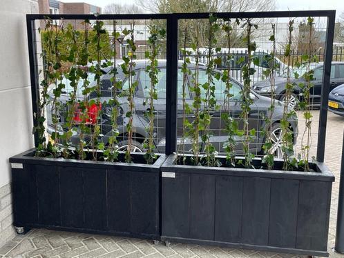 Douglas bloembak met klimrek - nu 10 procent korting, Tuin en Terras, Bloembakken en Plantenbakken, Nieuw
