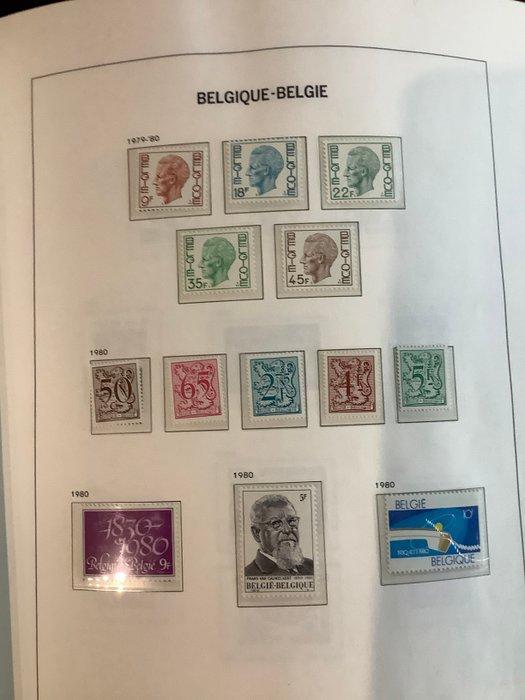 België 1980/1998 - Verzameling 1980/1998 in Davo album ( ook, Postzegels en Munten, Postzegels | Europa | België