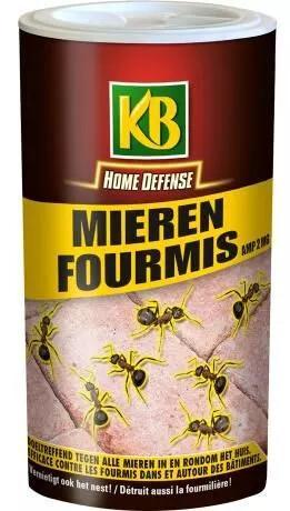 NIEUW - Fourmis mieren 250 g