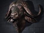 Large Replica Cape Buffalo Taxidermie wandmontage - Syncerus, Collections