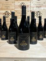 2021 Château d’Aigueville « Massif d’Uchaux » -, Nieuw